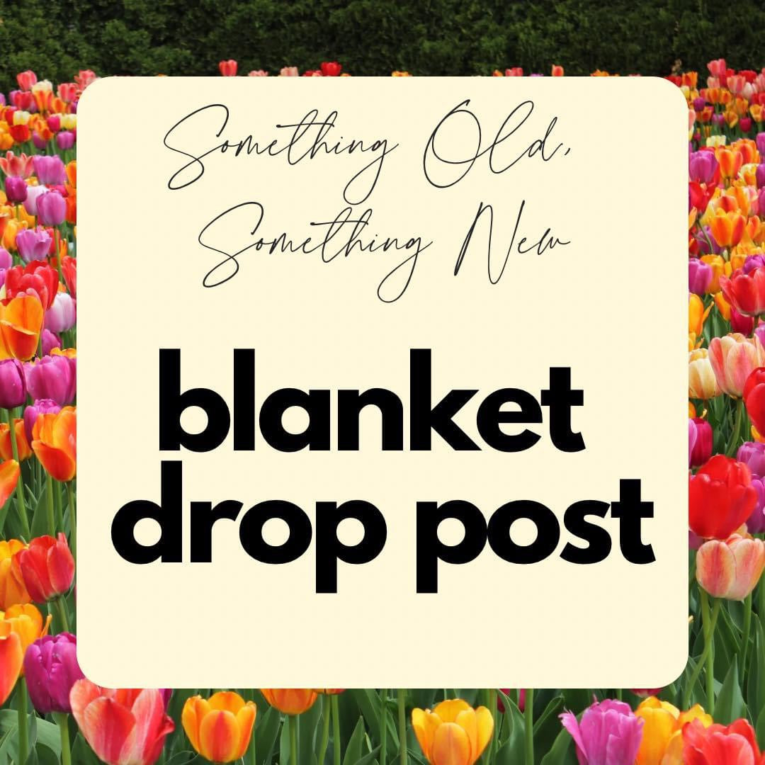 L. Torabpour - Minky Blanket